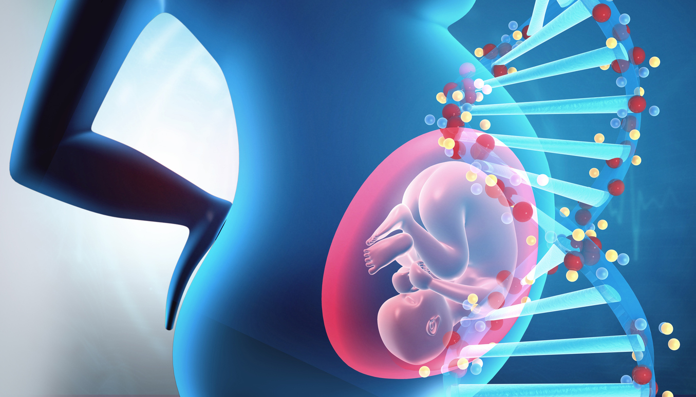 Fetal DNA Testi Nedir Nas l Yap l r Do Dr Taha Takmaz Fetal DNA Testi Nedir Nas l Yap l r Do Dr Taha Takmaz